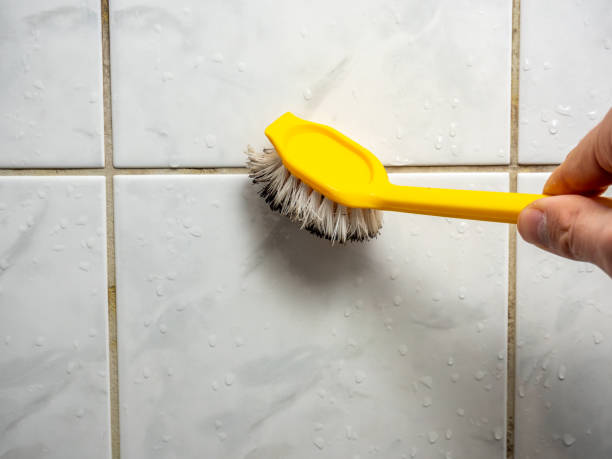 Northridge, OH Mold Removal Company