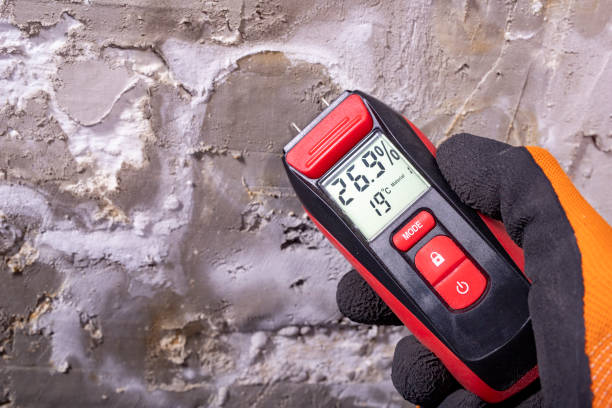 Attic Mold Removal in Northridge, OH