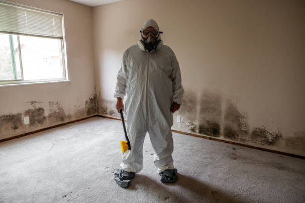 Certified Mold Removal in Northridge, OH